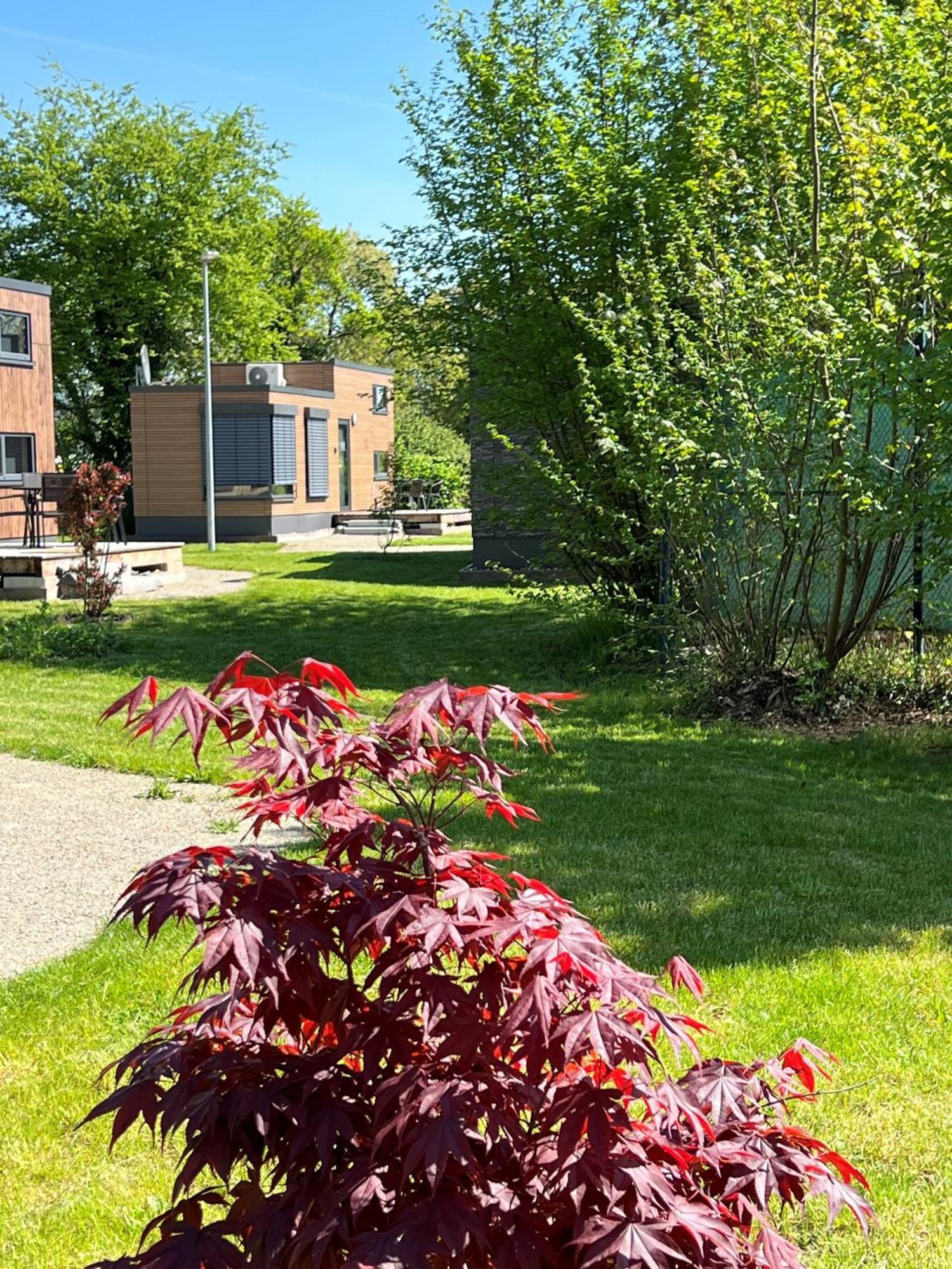 Villa Tiny Haus Park Fritzlar Esterno foto